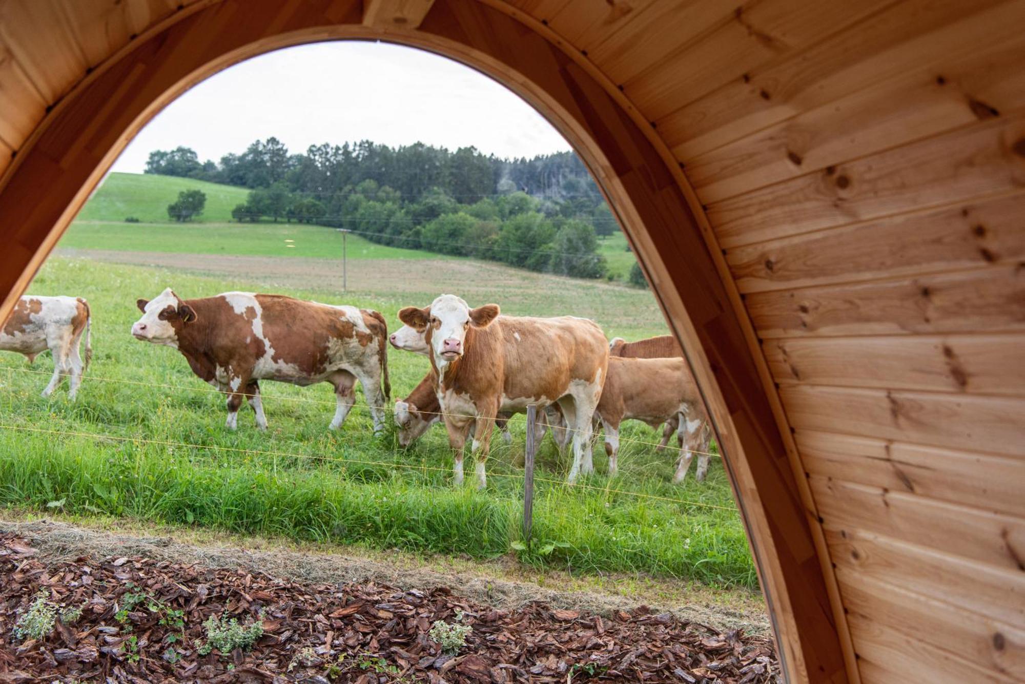 La Boheme Lodges And Glamping Vrhavec Bagian luar foto